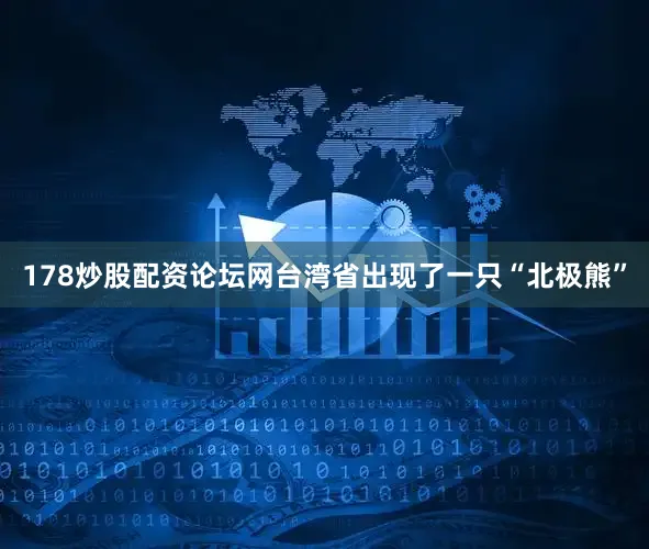 178炒股配资论坛网台湾省出现了一只“北极熊”