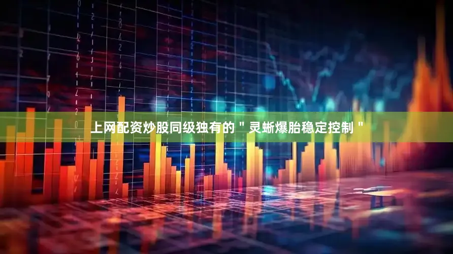 上网配资炒股同级独有的＂灵蜥爆胎稳定控制＂
